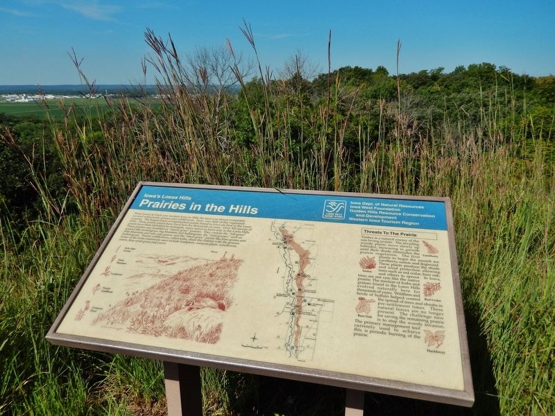 Prairies in the Hills Marker. Click for full size. Prairies in the Hills Marker image. Click for full size.