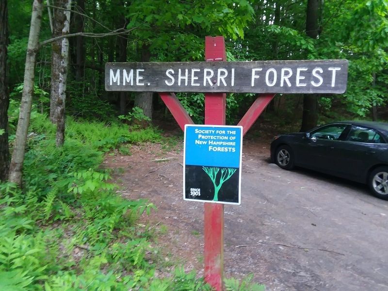 Madame Sherri Forest Entrance Sign image. Click for full size.