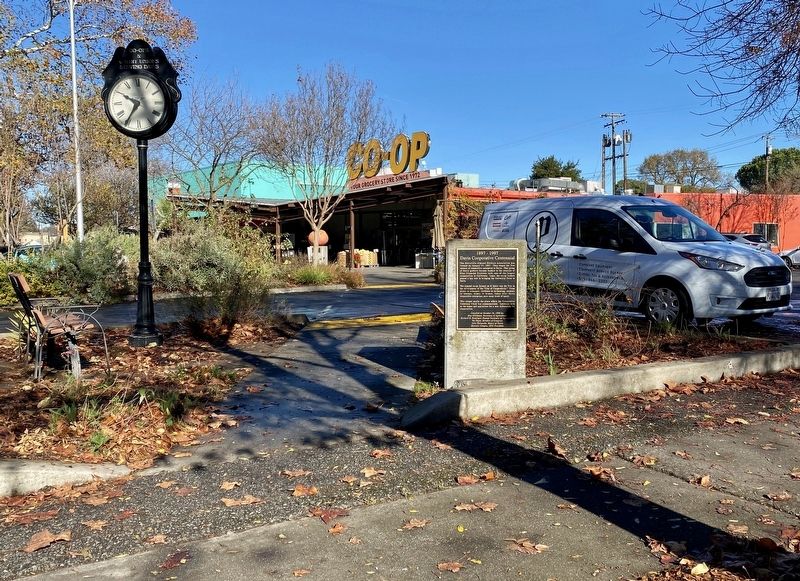 Davis Cooperative Centennial, 1887-1987 Marker, with the Davis Food Co-op in the background image. Click for full size.