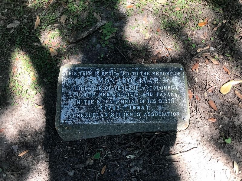 Simon Bolivar Oak Marker. Click for full size. Simon Bolivar Oak Marker image. Click for full size.