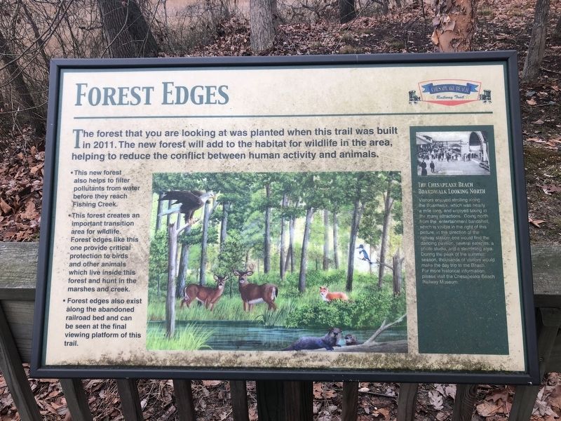 Forest Edges Marker image. Click for full size.