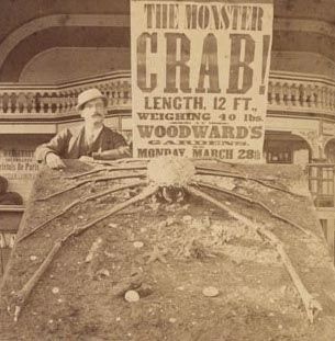 <i>View in Woodward's Gardens</i>: The Monster Crab! (right half of stereograph) image. Click for full size.