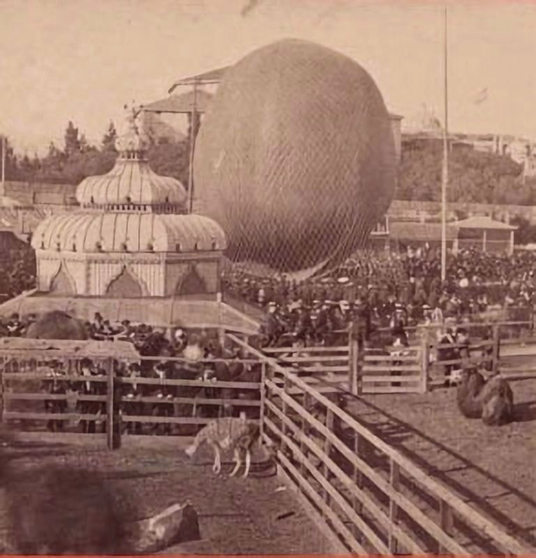 <i>Balloon ascension, Woodward's Gardens, S.F.</i> (left half of stereograph) image. Click for full size.