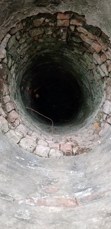 A look down the the well shaft. image. Click for full size.