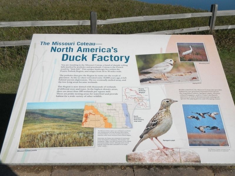 The Missouri Coteau - North America's Duck Factory. Marker image. Click for full size.