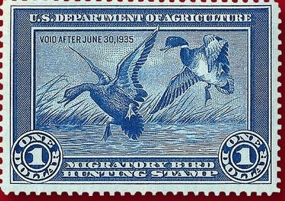 1934 Federal Duck Stamp image. Click for full size.