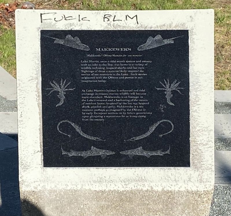 Makkeweks Marker image. Click for full size.
