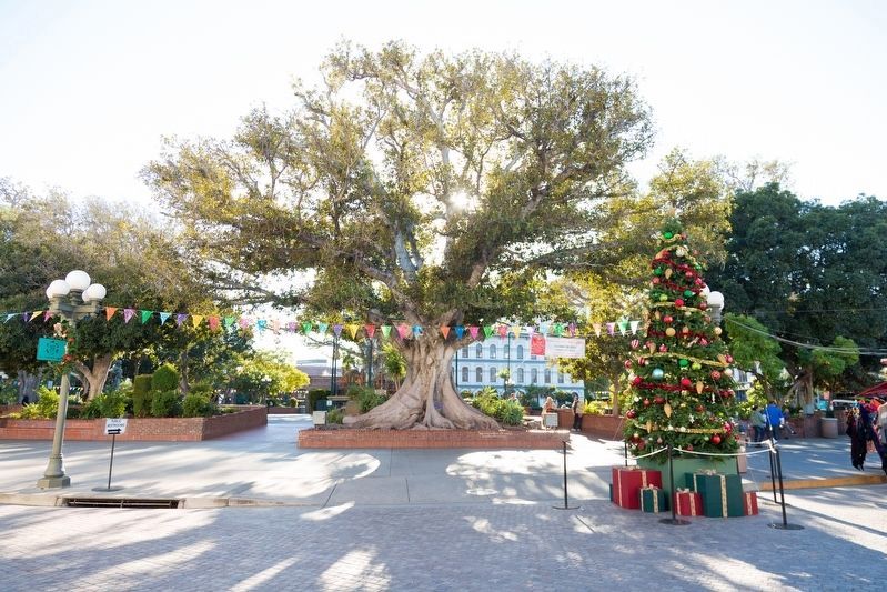 Plaza Park image. Click for full size.
