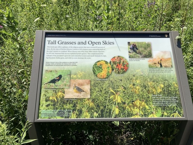 Tall Grasses and Open Skies Marker. Click for full size. Tall Grasses and Open Skies Marker image. Click for full size.