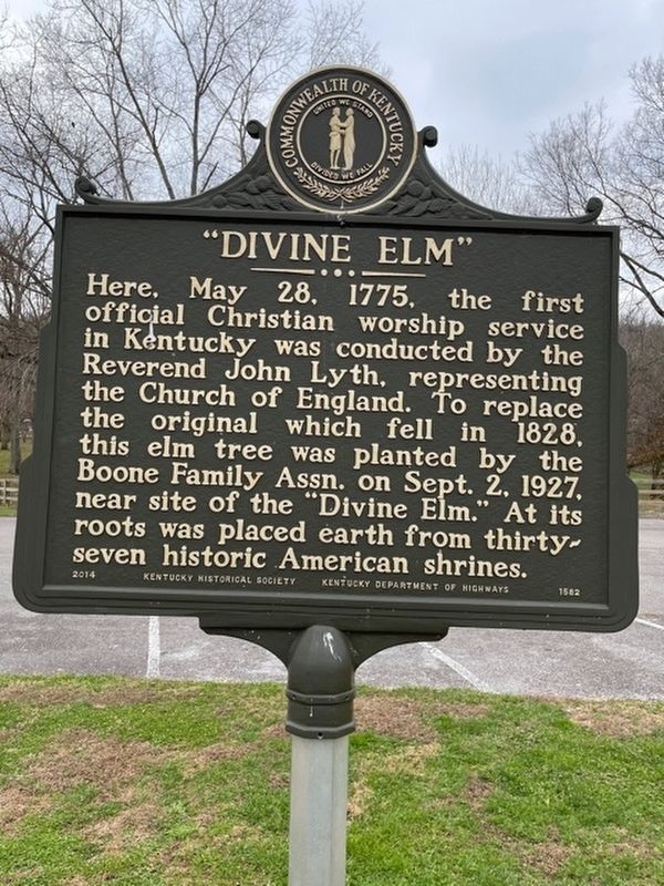 "Divine Elm" Marker image. Click for full size.