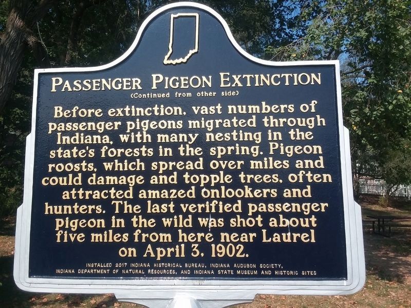 Passenger Pigeon Extinction Marker Reverse image. Click for full size.