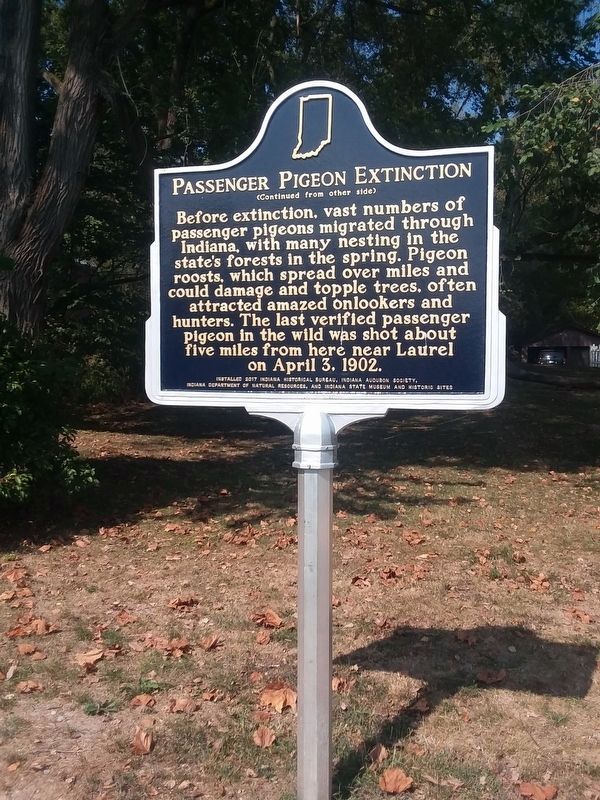 Passenger Pigeon Extinction Marker Reverse. Click for full size. Passenger Pigeon Extinction Marker Reverse image. Click for full size.