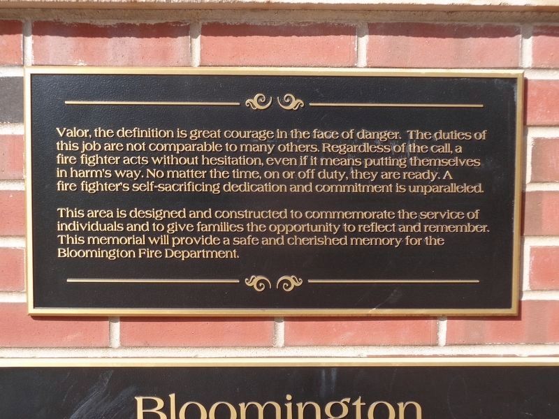 Supplemental plaque image. Click for full size.