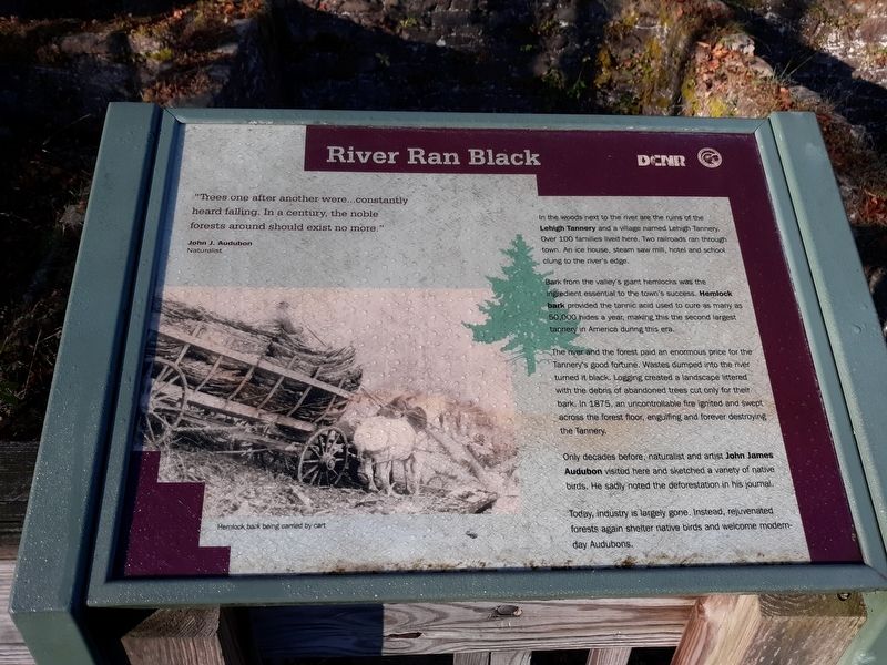 River Ran Black Marker image. Click for full size.