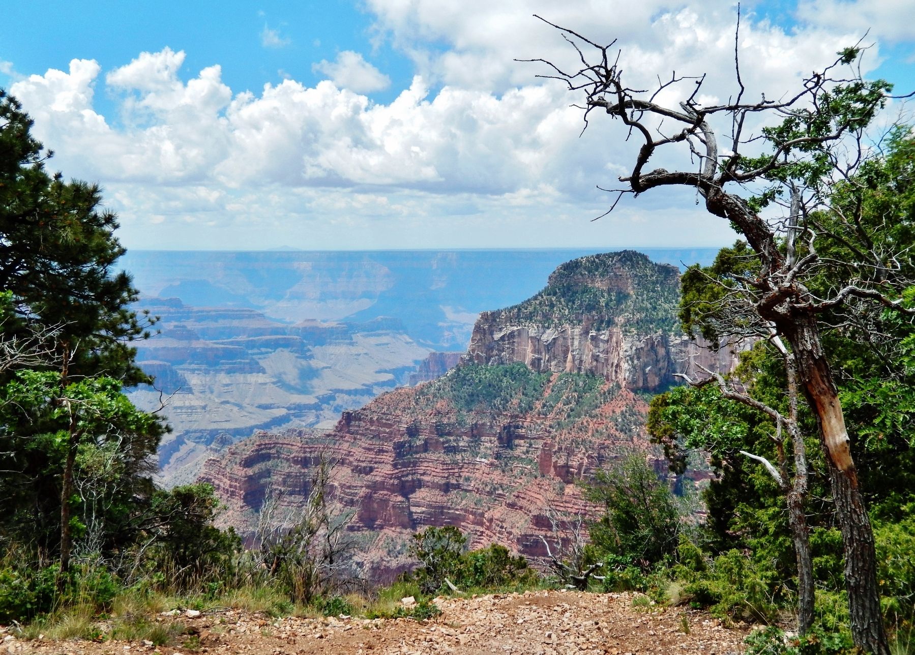 Grand Canyon image. Click for full size.
