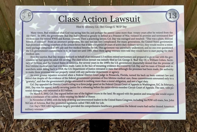 Class Action Lawsuit Marker image. Click for full size.
