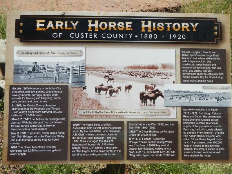 Early Horse History Marker image. Click for full size.