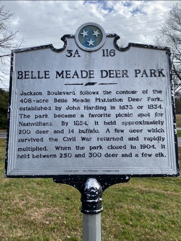Belle Meade Deer Park. Click for full size. Belle Meade Deer Park image. Click for full size.