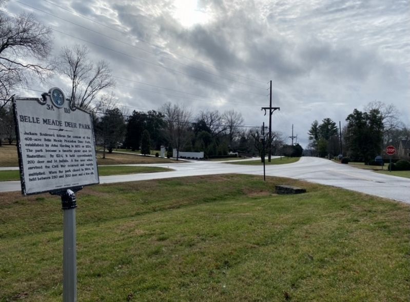 Belle Meade Deer Park. Click for full size. Belle Meade Deer Park image. Click for full size.