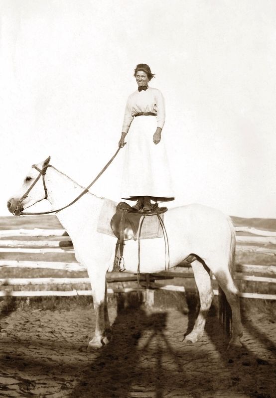 Evelyn Cameron image. Click for full size.