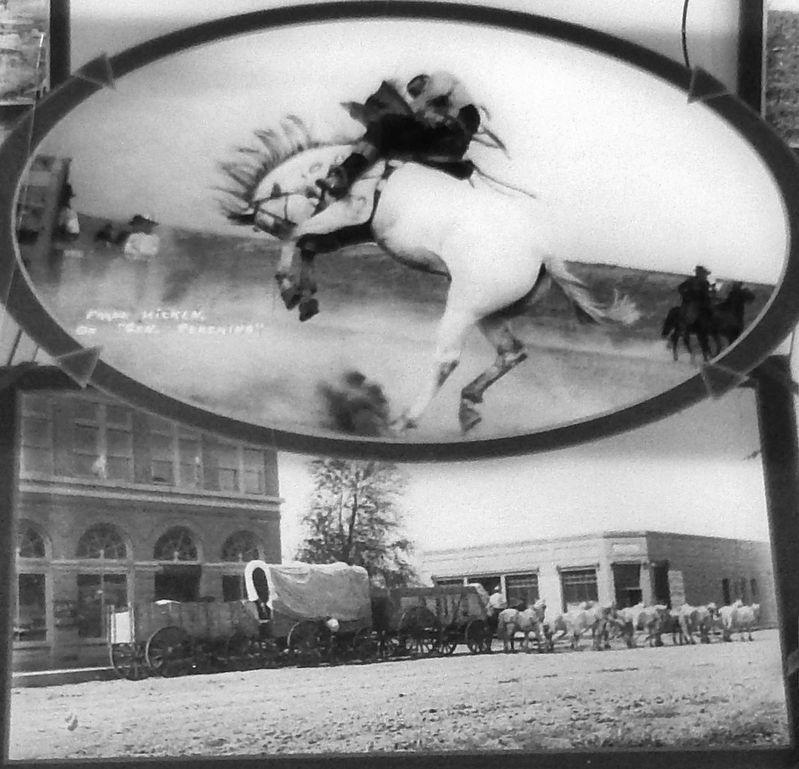 Marker detail: Meeker History image. Click for full size.