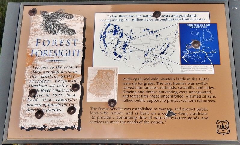 Forest Foresight Marker image. Click for full size.