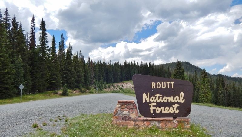 Routt National Forest / White River National Forest boundary image. Click for full size.