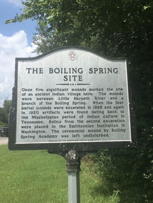 The Boiling Spring Site image. Click for full size.