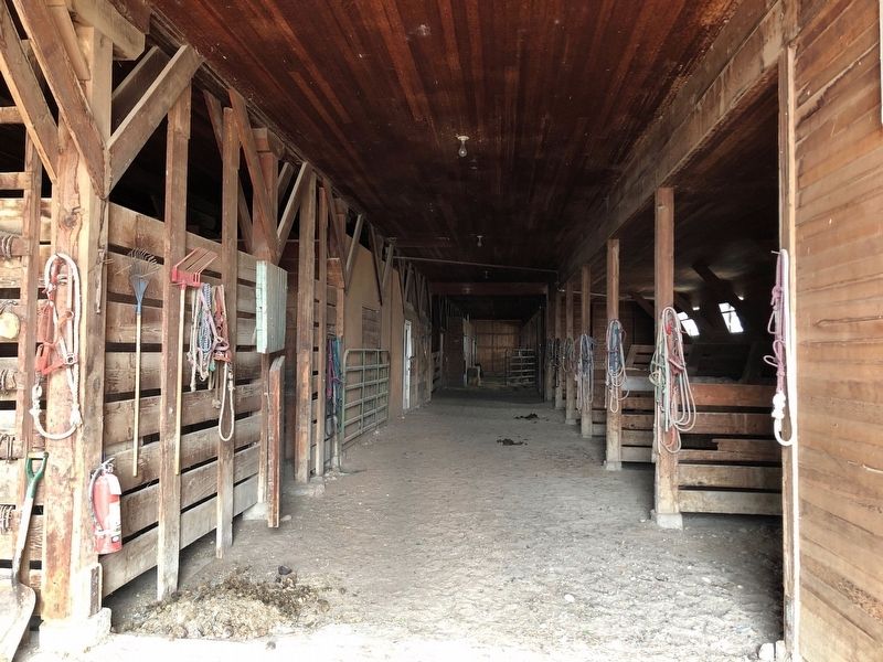Horse Barn, interior image. Click for full size.