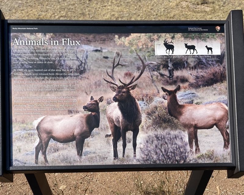 Animals in Flux Marker image. Click for full size.