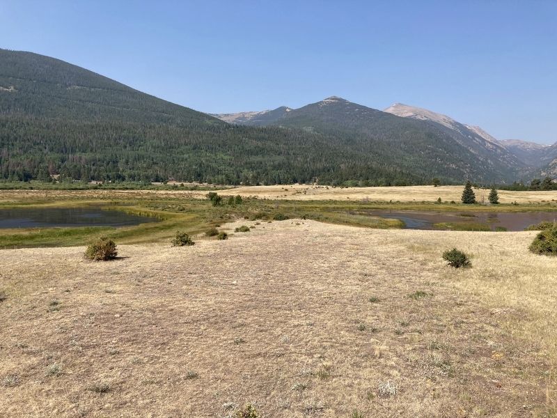 Meadows around Sheep�s Lakes image. Click for full size.