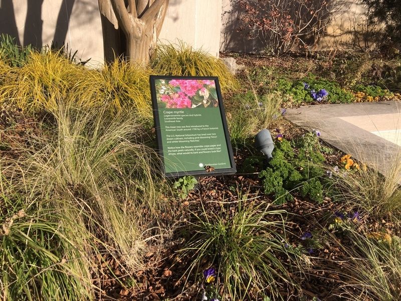 Crape myrtle Marker. Click for full size. Crape myrtle Marker image. Click for full size.