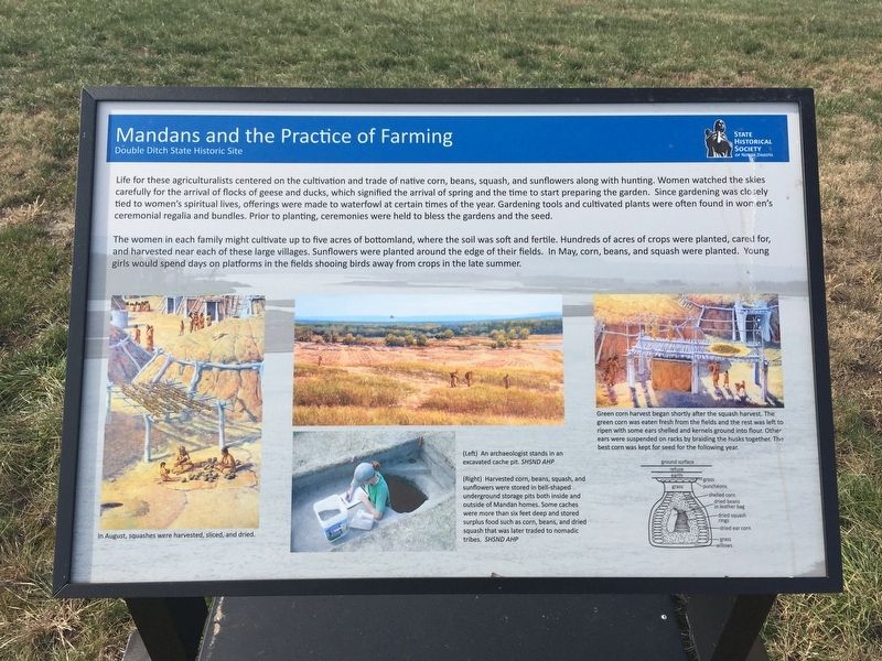 Mandans and the Practice of Farming Marker. Click for full size. Mandans and the Practice of Farming Marker image. Click for full size.