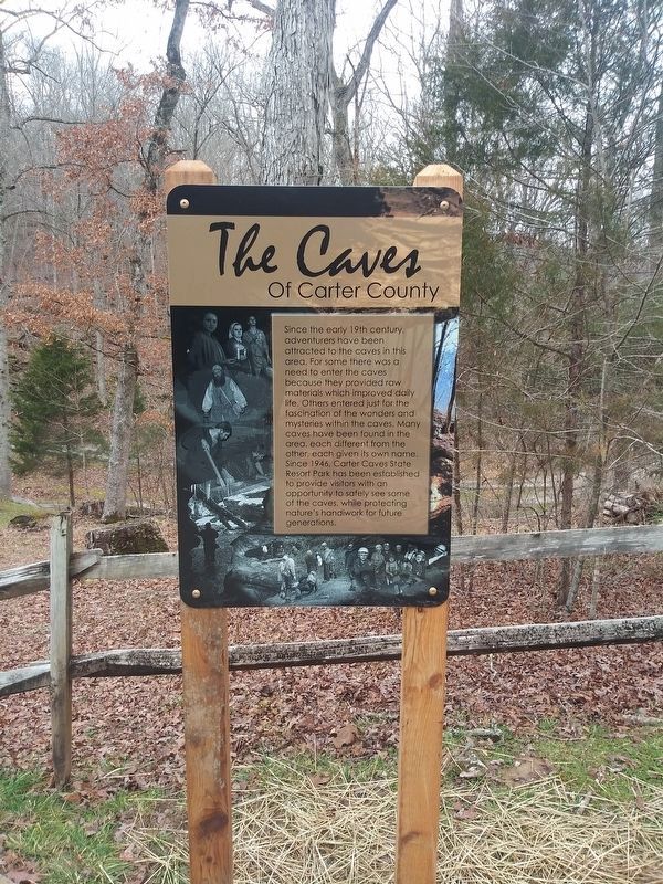 The Caves Of Carter County Marker image. Click for full size.