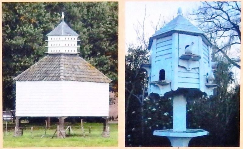 Marker detail: Traditional Dovecotes image. Click for full size.