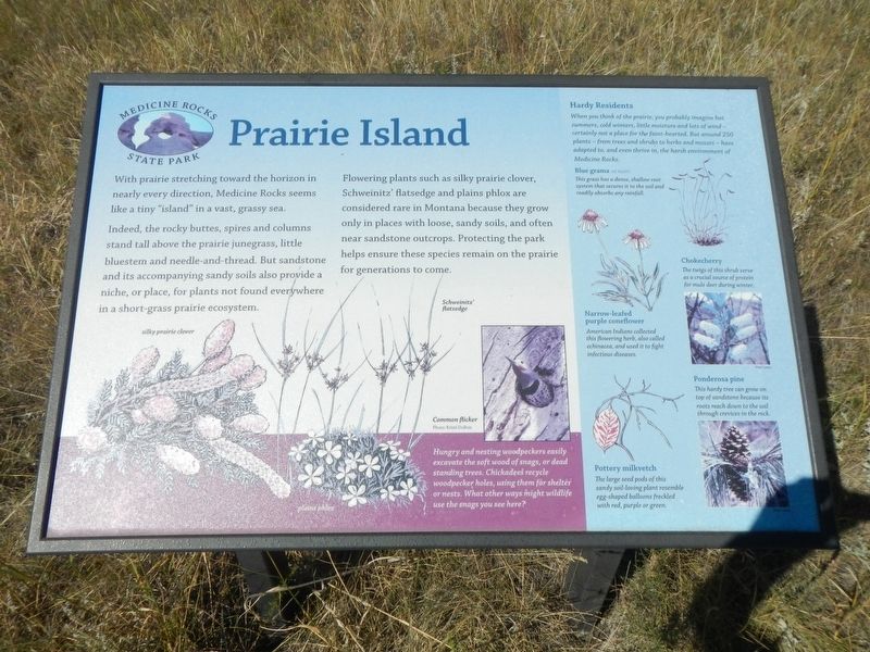 Prairie Island Marker image. Click for full size.