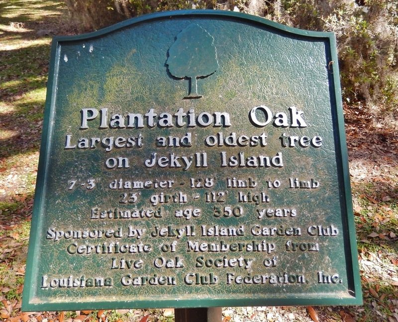 Plantation Oak Marker. Click for full size. Plantation Oak Marker image. Click for full size.
