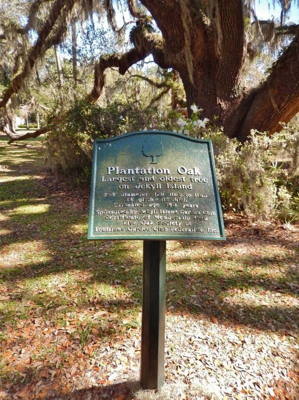 Plantation Oak Marker. Click for full size. Plantation Oak Marker image. Click for full size.