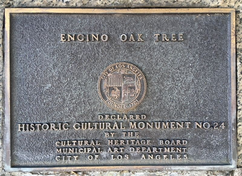 Encino Oak Tree Marker image. Click for full size.