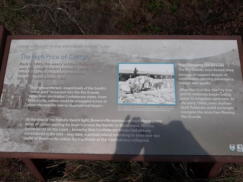 Lower Rio Grande Valley National Wildlife Refuge Palmito Battlefield Marker. Click for full size. Lower Rio Grande Valley National Wildlife Refuge Palmito Battlefield Marker image. Click for full size.