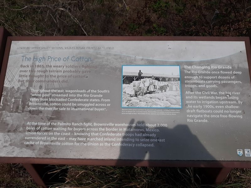 Lower Rio Grande Valley National Wildlife Refuge Palmito Battlefield Marker image. Click for full size.