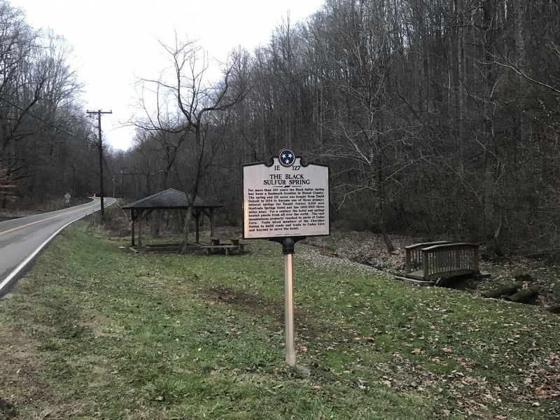 The Black Sulfur Spring Marker image. Click for full size.