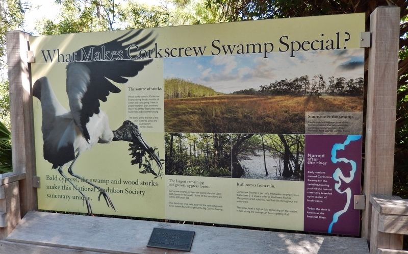 What Makes Corkscrew Swamp Special? Marker image. Click for full size.