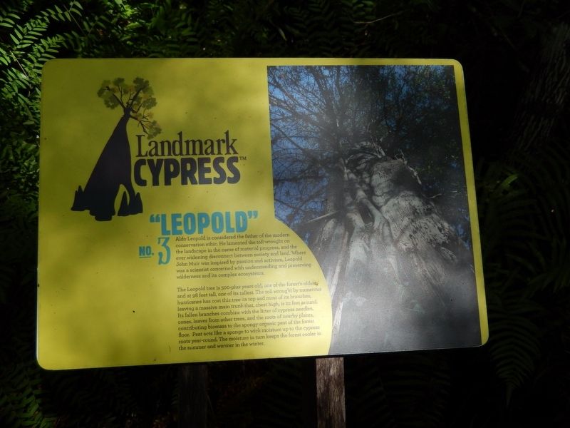 Landmark Cypress № 3 — "Leopold" Marker image. Click for full size.