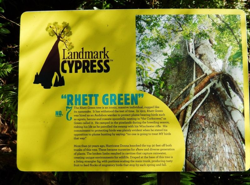 Landmark Cypress № 7 — "Rhett Green" Marker image. Click for full size.