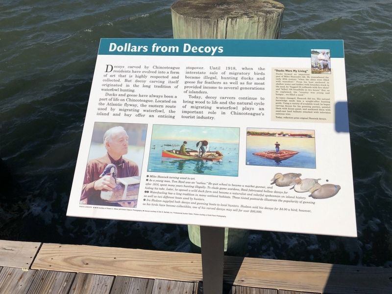 Dollars from Decoys Marker image. Click for full size.
