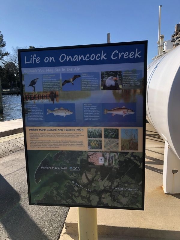 Life on Onancock Creek, another additional plaque that is part of the display image. Click for full size.
