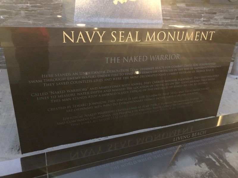 Navy <small>SEAL</small> Monument image. Click for full size.