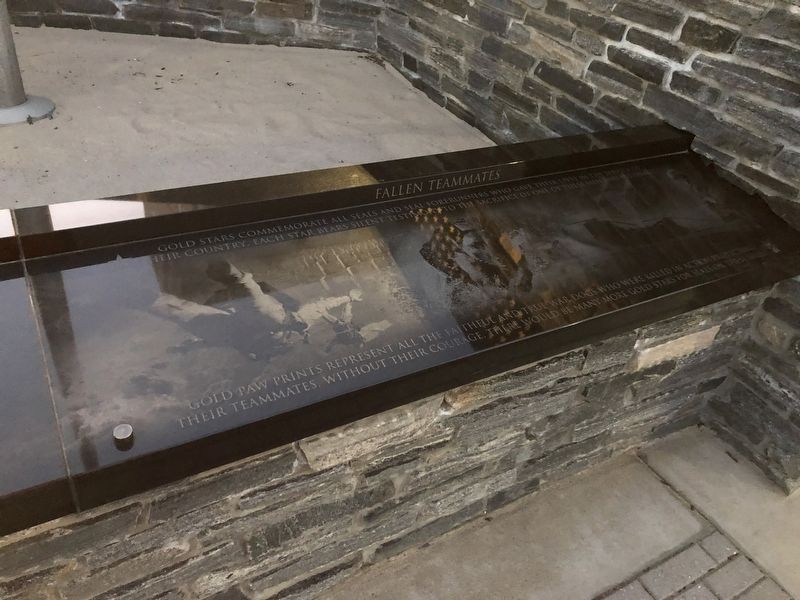 Navy <small>SEAL</small> Monument image. Click for full size.