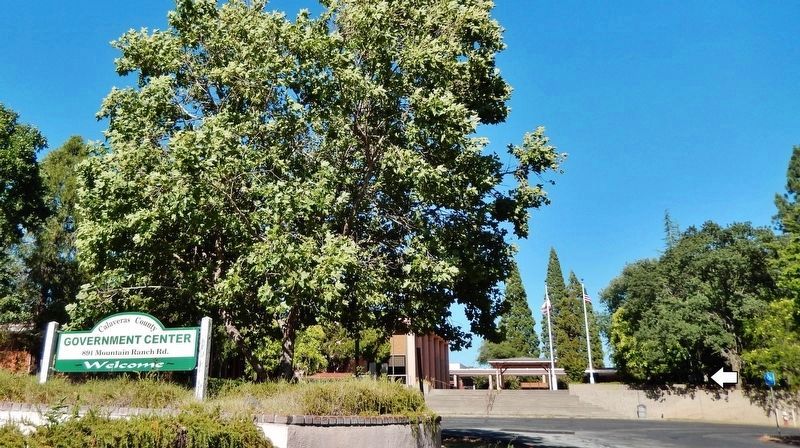 Calaveras County War Memorial image. Click for full size.